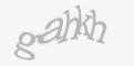 Защитный код
